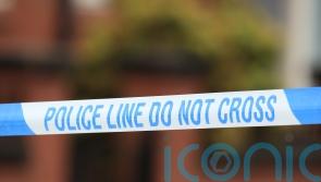 More than 100 designer handbags stolen in burglary