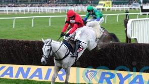 Grey Dawning and Iroko en route to Aintree via Kelso