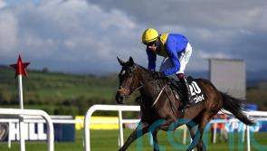 Cromwell picks out Sixandahalf and Stumptown as Festival fancies