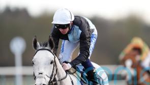 Roaring Legend in line for lofty targets after Lingfield romp