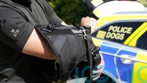 Man arrested after police dog injured in Aberdeen