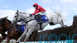 Grey Dawning back on track with Premier performance at Kelso