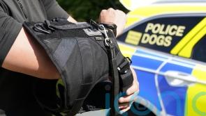 Man charged after police dog injured in Aberdeen incident