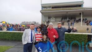 Senecia turns over El Fabiolo at Navan