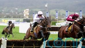 Scott favouring Mares&rsquo; Hurdle for Golden Ace