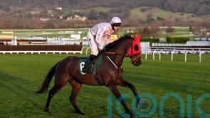 Sixmilebridge set to lose Trials day victory, but still on course for Festival target