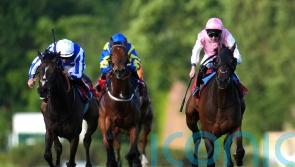 Popular stayer Caius Chorister set for date with City Of Troy