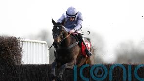 Il Est Francais ready to enjoy &lsquo;home&rsquo; comforts in Cheltenham bid