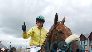 Beef Or Salmon still loving life among the Irish National Stud legends