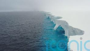 Iceberg twice the size of Greater London runs aground near South Georgia