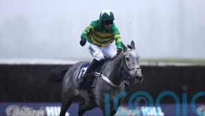 Joyeuse joins battle for Mares’ Hurdle honours
