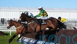 Jagwar team to make late Cheltenham call