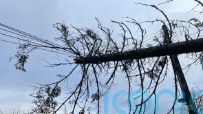 Comparing broadband storm repairs with power supply response ‘unfair’, MLAs told