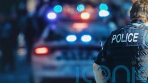 X-ray shows diamond earrings swallowed by theft suspect during arrest – police