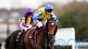 Dascombe eyeing Cheltenham Festival first with Hot Fuss