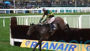 Inothewayurthinkin set to be added to Gold Cup field
