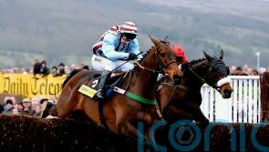 Three Gold Cups – but it might just have been a different Best Mate story
