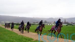 Cheltenham watering with warm weekend on the horizon