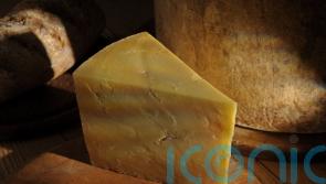 After hundreds of years, Britain’s taste for Cheddar is maturing