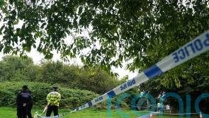Boy accused of pensioner’s murder ‘fell on him as he ran to push him over’