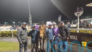 Titanium Emperor impresses in scaling Mount Kilimanjaro at Dundalk