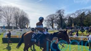 Laurens Bay lunges to unlikely Sandown success
