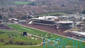 Cheltenham anticipating drop in Festival attendance