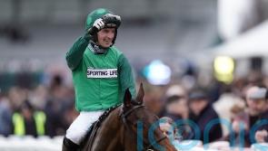 ‘Double green’ colours aimed more towards Aintree this year
