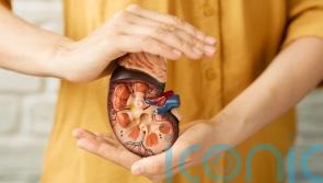 7 simple habits to keep your kidneys happy and healthy