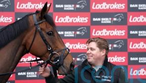 The New Lion and Final Demand star in Turners battle