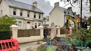 ‘No routes’ for NIE Networks to make compensation payments after Storm Eowyn
