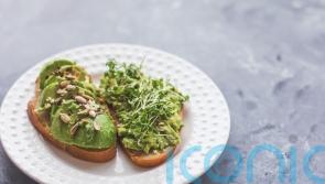 Brunch substitutes for your avocado toast, as Alan Titchmarsh calls out environmental impact