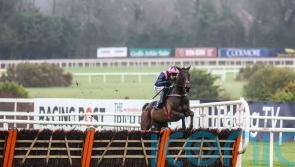 Mullins keen to keep Kopek cool in what will be an emotionally-charged Supreme test