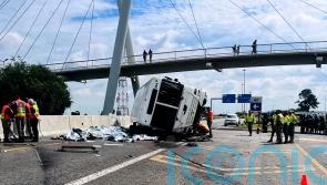 12 killed in bus crash on South Africa highway