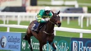 Fact To File and Il Est Francais clash in Ryanair