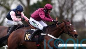 Henderson dealt Triumph Hurdle blow with setback for Palladium