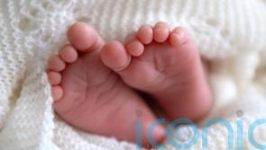 Infant death rate one of the highest on record at end of 2024, data shows