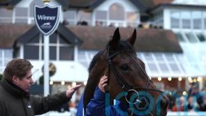 Skelton not doubting Lion’s heart for a Festival fight