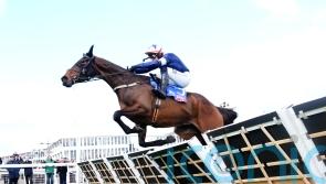 Supreme performance sees Kopek Des Bordes crowned at Cheltenham