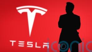 Trump pledges to buy ‘brand new Tesla’ in support of Musk