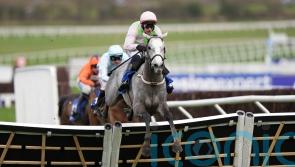 Lossiemouth untroubled in defence of Mares’ Hurdle title
