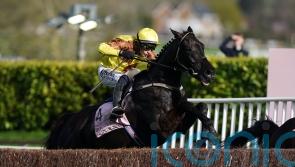Galopin Des Champs heads nine left chasing Gold Cup glory