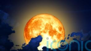 How the blood worm moon will affect these 4 star signs