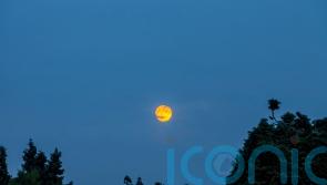 UK set for &lsquo;blood moon&rsquo; partial lunar eclipse later this week