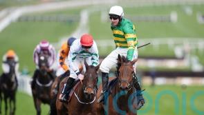 The New Lion stars in battling Turners success