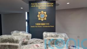 Almost two million euro of drugs seized