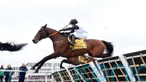 Air Of Entitlement swoops late for Mares’ glory