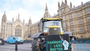Government accused of &lsquo;crucifying&rsquo; farmers as protest held at Westminster