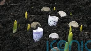 5 simple ways to give your finances a ‘spring clean’ and save money
