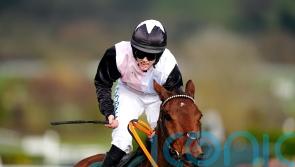 Bob Olinger battles to dethrone Stayers’ Hurdle champ Teahupoo